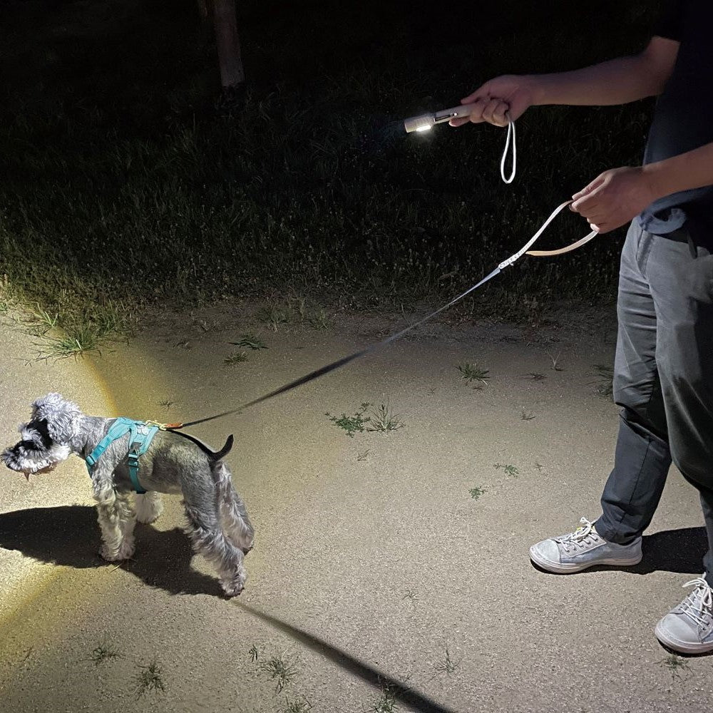 Elpa ELPA Walking Aluminum Light for Night Pet Walks 350lm DOP-EP230