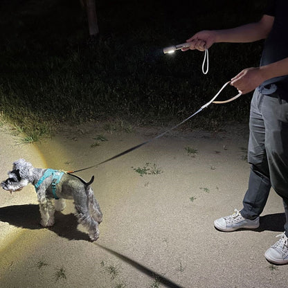 Elpa ELPA Walking Aluminum Light for Night Pet Walks 350lm DOP-EP230