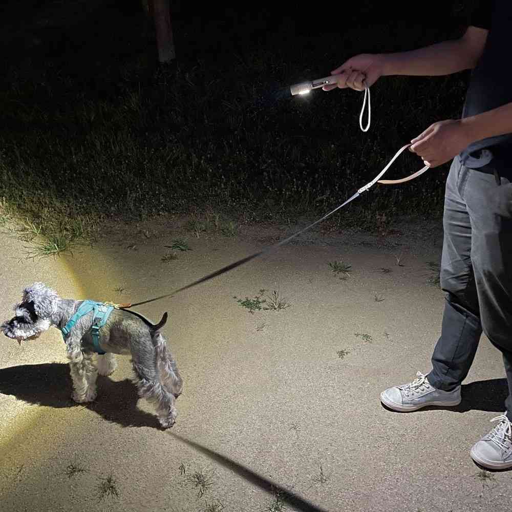 Elpa ELPA Walking Aluminum Light for Night Pet Walks 350lm DOP-EP230