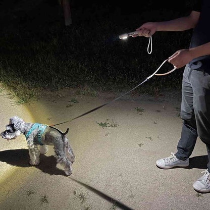 Elpa ELPA Walking Aluminum Light for Night Pet Walks 350lm DOP-EP230