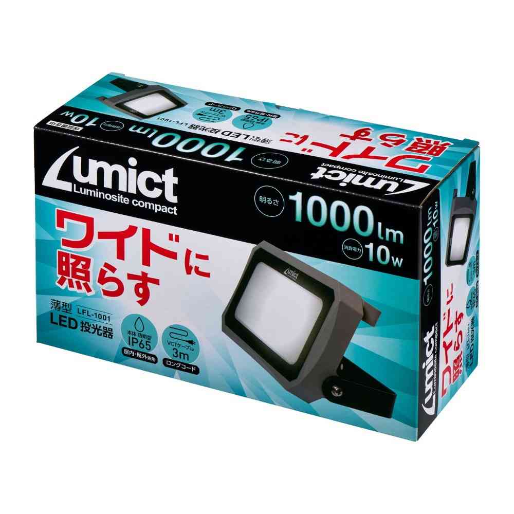 Elpa AC Floodlight 1000LM LFL-1001
