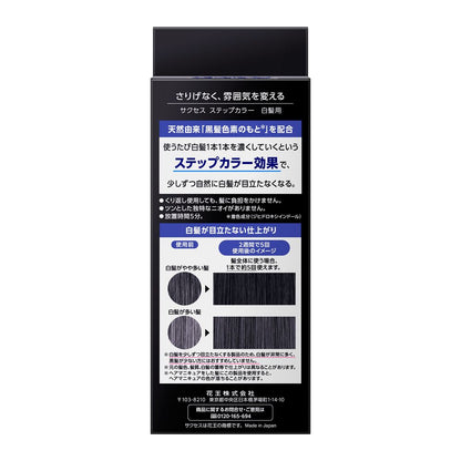 Kao Success Step Color Hair Dye (110g)