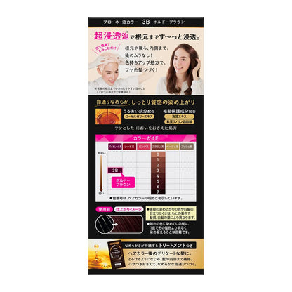 Medicinal Kao Bologne Foam Color 3B Bordeaux Brown 108ml