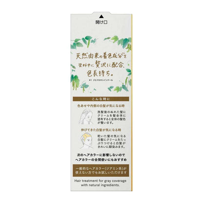 BLOOME Naturila Color Treatment for Gray Hair Dark Brown Refill 155g