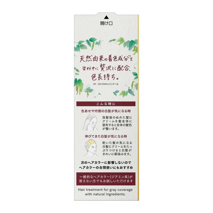 Kao Bione Naturila Long-lasting Color Treatment Rose Brown Refill 155g