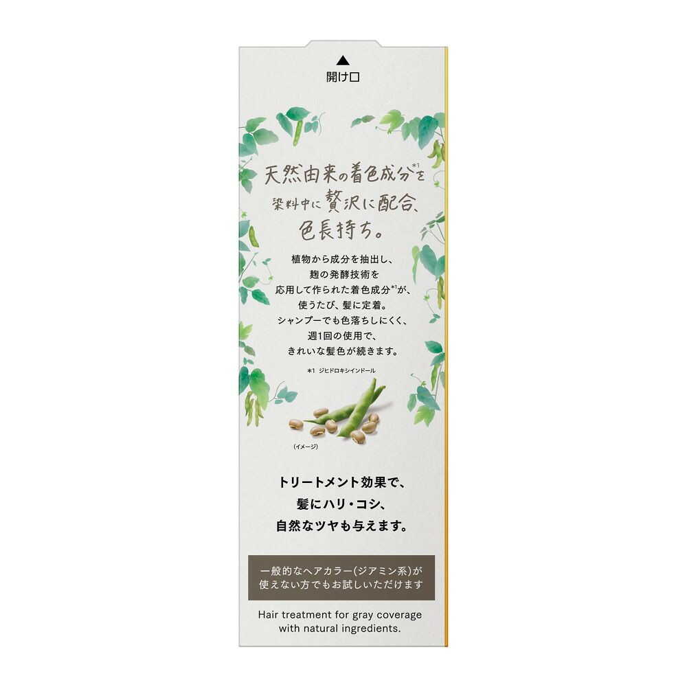 Kao Bologne Naturila Long-Lasting Color Treatment Ash Brown Main Body 155g