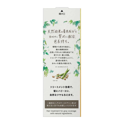 Kao Bologne Naturila Long-Lasting Color Treatment Ash Brown Main Body 155g