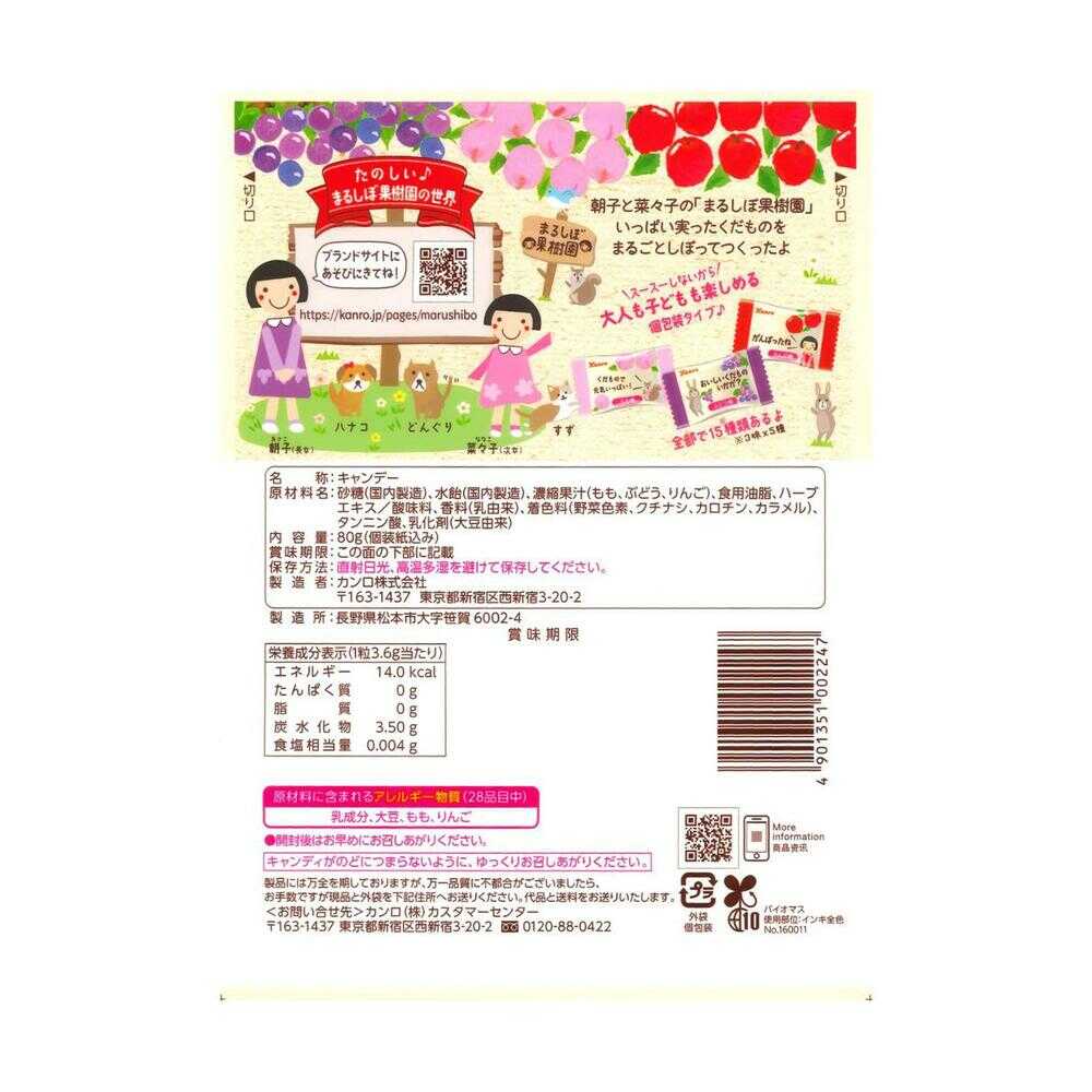 Kanro Whole Fruit Throat Candy 80g