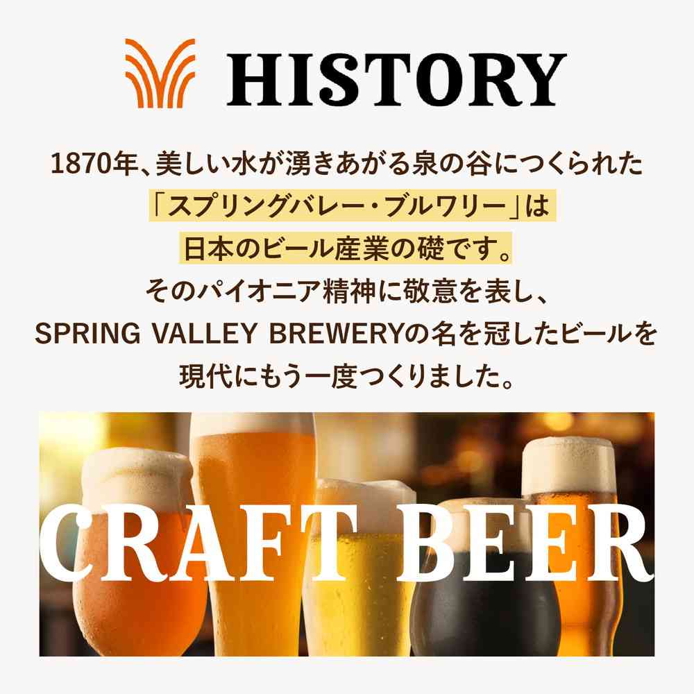 Kirin SPRING VALLEY BREWERY Rich Lager 496 350ml x 6
