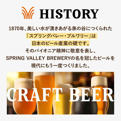 Kirin SPRING VALLEY BREWERY Rich Lager 496 350ml x 6