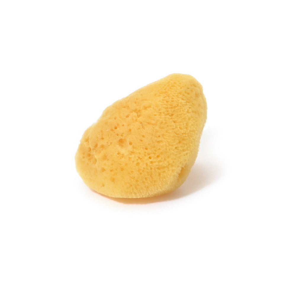 Rosy Rosa Natural Sea Sponge M Size 1P