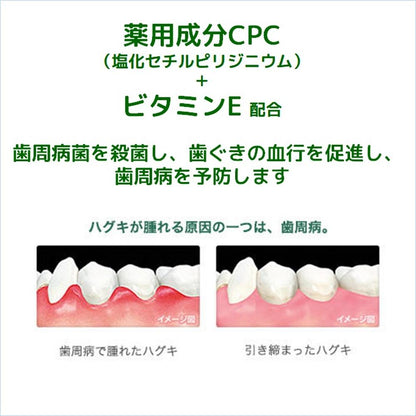 Gum Dental Paste Salty Mint 150g