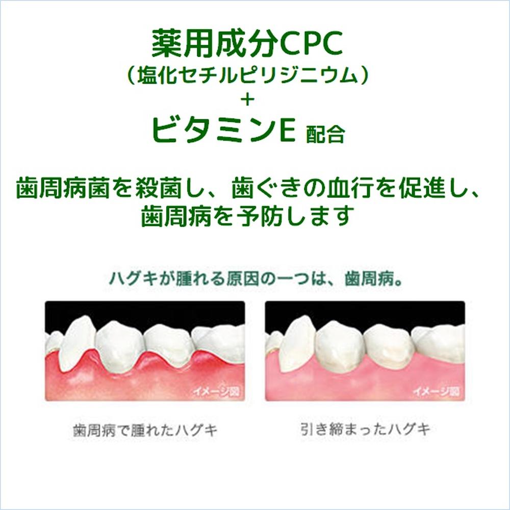 Gum Dental Paste Salty Mint Standing (150g)