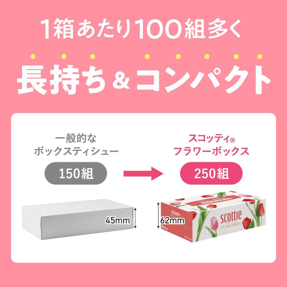Nippon Paper Crecia Scottie Tissue Flower Box 250 Sets x 3 Pieces