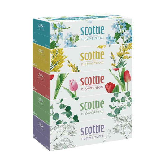 Kleisia Scottie Tissue Flower Box 250W x 5 Packs