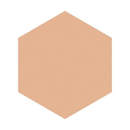 Integrate Gracy White Pact EX Ochre 20 (Refill) OC20