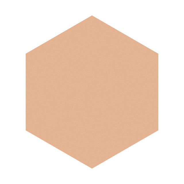 Shiseido Integrate Gracy Moist Pact EX (Refill) Ochre 20