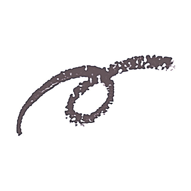 Shiseido Integrate Eyebrow Pencil GY941