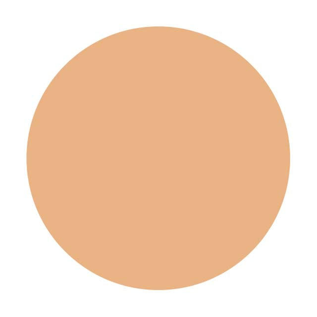 Shiseido Integrate Gracy Essence Powder BB2