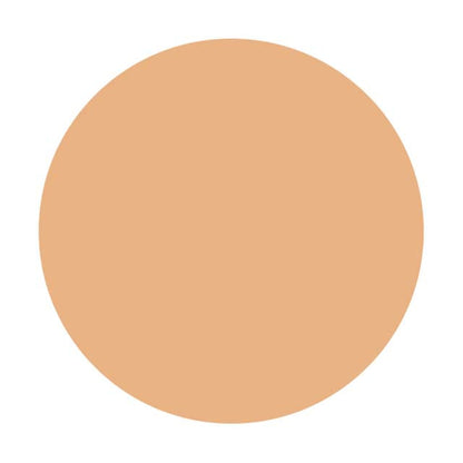 Shiseido Integrate Gracy Essence Powder BB2