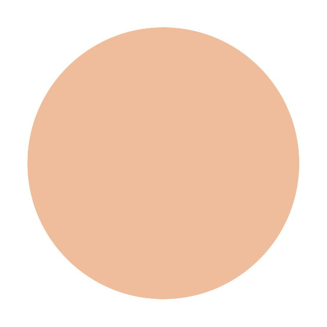 Shiseido Majolica Majorca Skin Remaker Pore Cover OC10