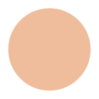 Shiseido Majolica Majorca Skin Remaker Pore Cover OC10