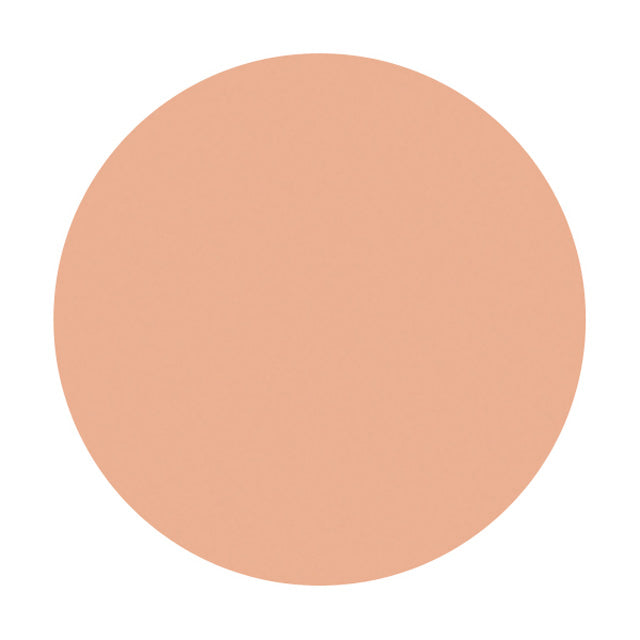 Shiseido Spots Cover Foundation (Base Color) H100 20g