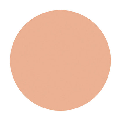 Shiseido Spots Cover Foundation (Base Color) H100 20g