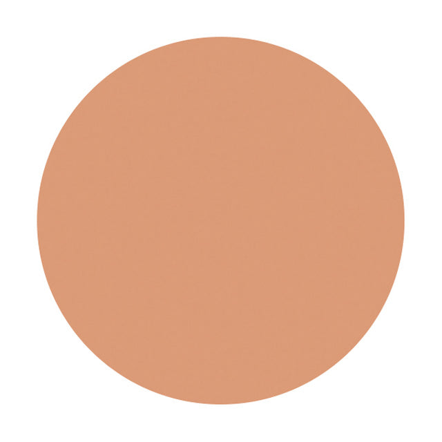 Shiseido Spots Cover Foundation (Base Color) S101 20g