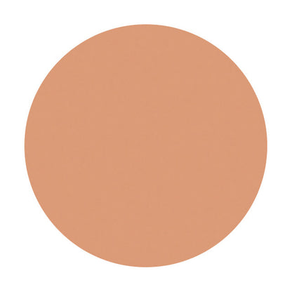 Shiseido Spots Cover Foundation (Base Color) S101 20g