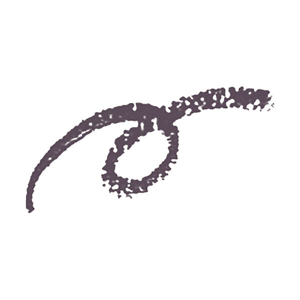 Shiseido Pienu Dual Brow Creator Pencil GY-911 (Cartridge)