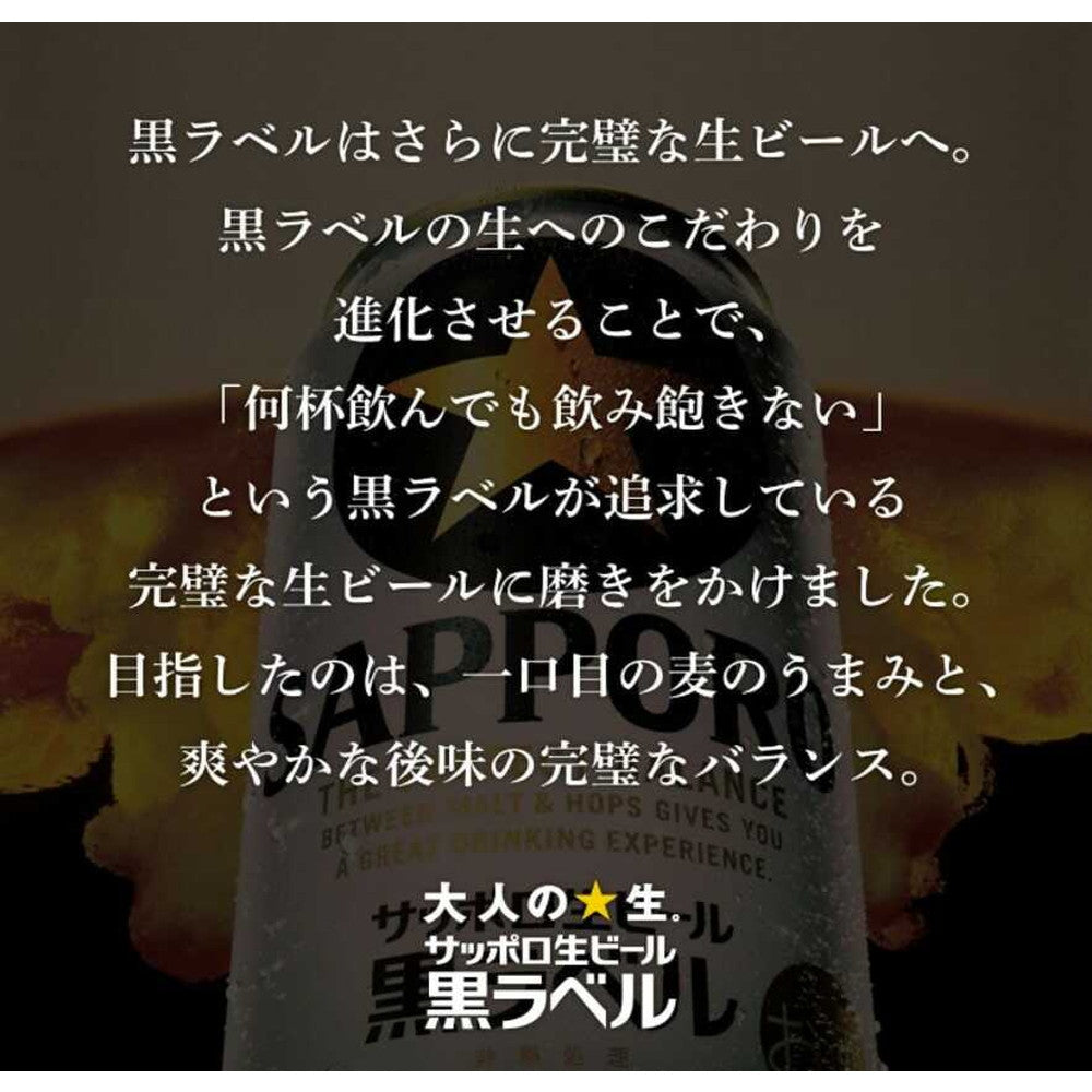 Sapporo Draft Beer - Black Label 500ml x 6