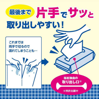 Daio Paper Elleair Super Absorbent Kitchen Towel Sheet Type 100 Sheets x 2