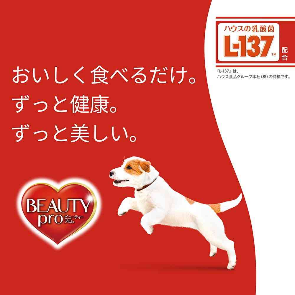 Nihon Pet Food Beauty Pro Dog Dental Health 200g