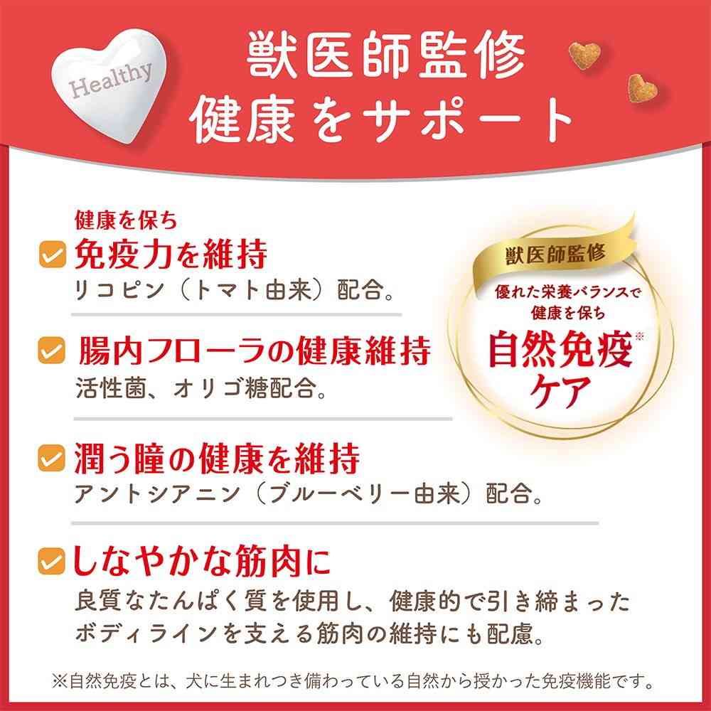 Nihon Pet Food Beauty Pro Dog Dental Health 200g