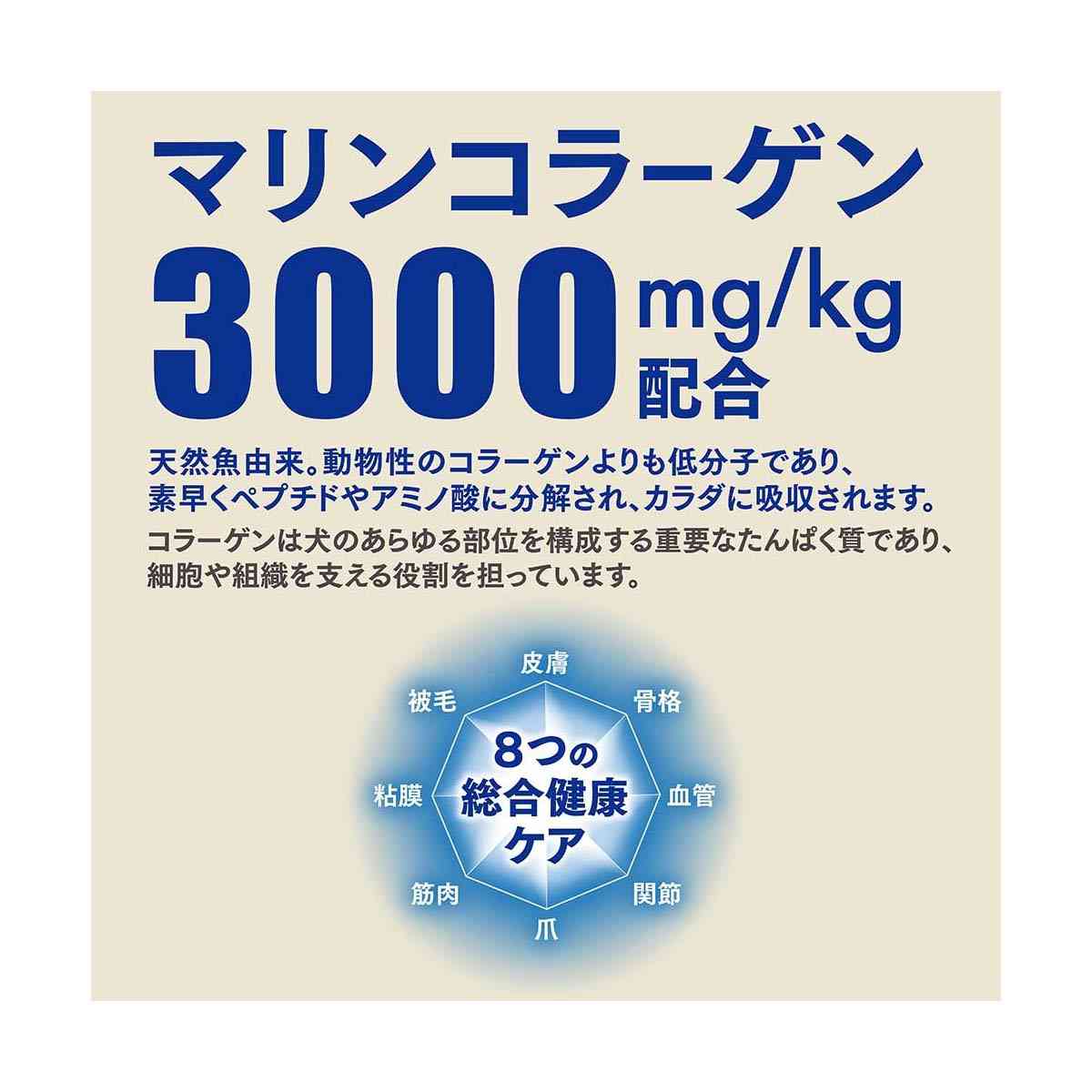 Nihon Pet Food Beauty Pro Dog Powderful for Adult Dogs with Beef and Cheese Powder 300g x 6 Bags + 6g x 6 Packs