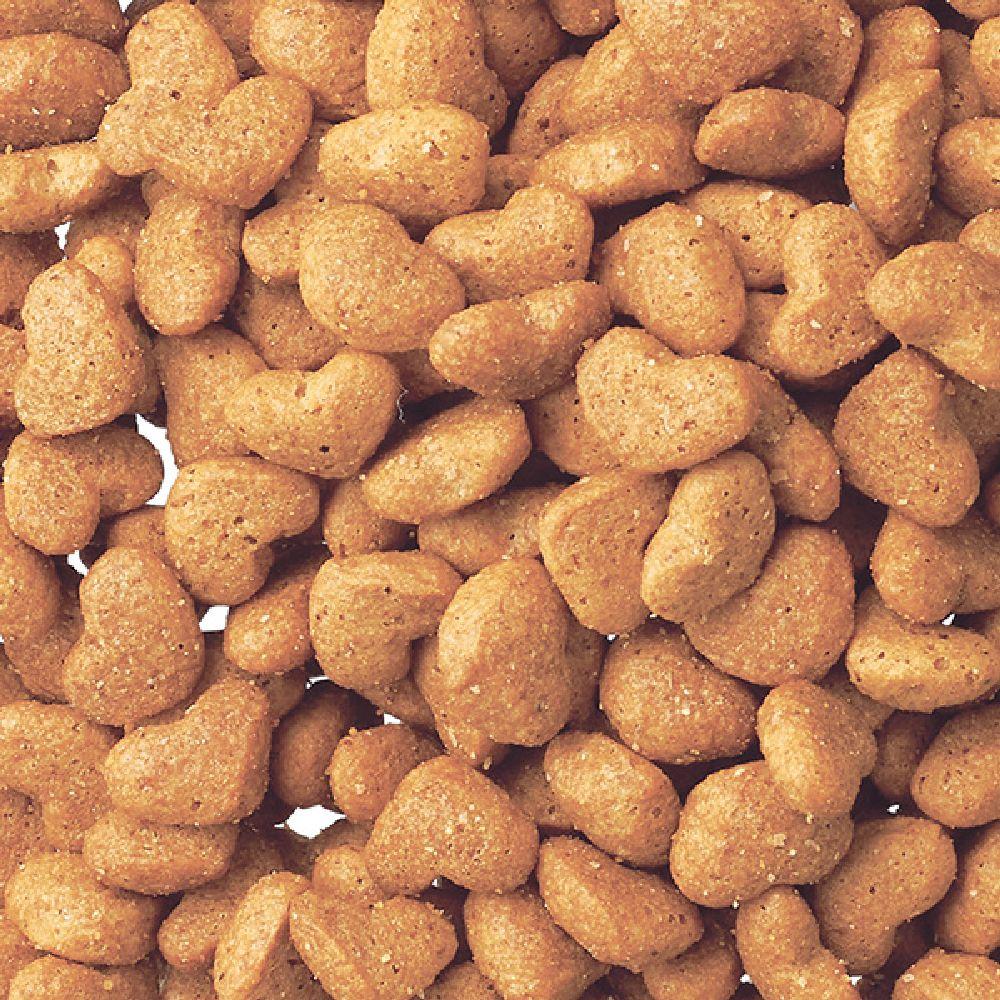 Beauty Pro Kitten Food 1.5kg