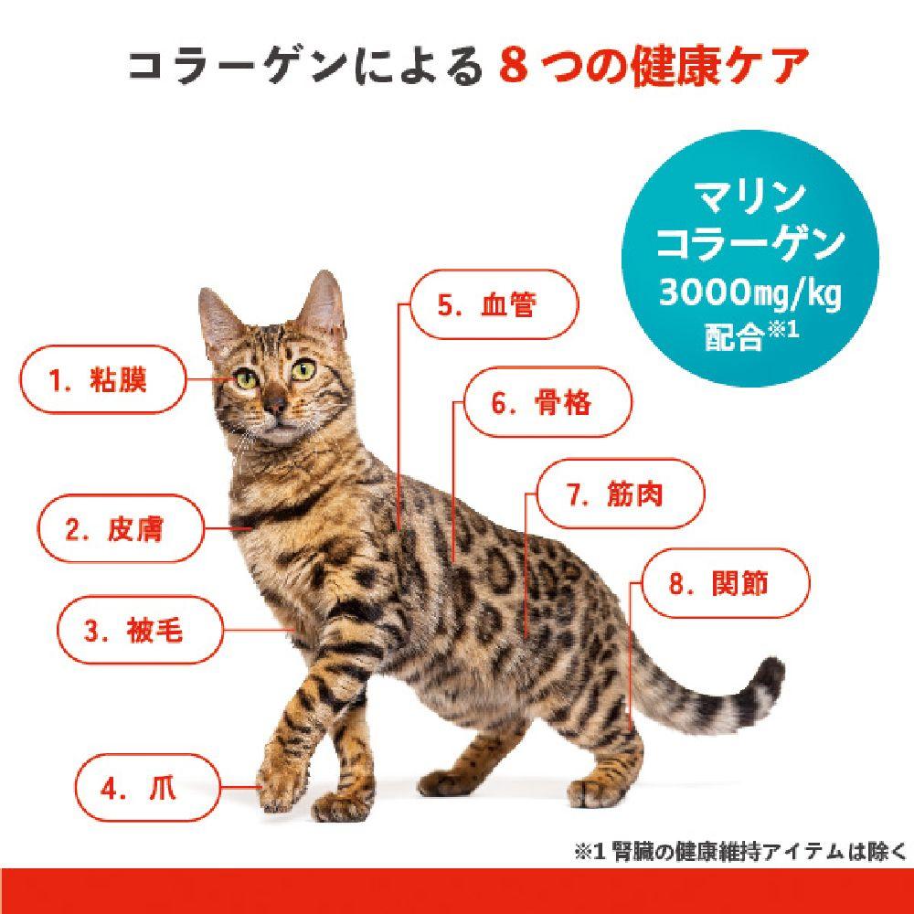 Beauty Pro Cat Lower Urinary Tract Health 11 Years and Older