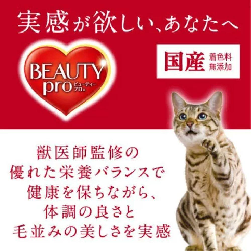 Beauty Pro Cat Kidney Health Maintenance for Cats 8 Years and Older 1.4kg