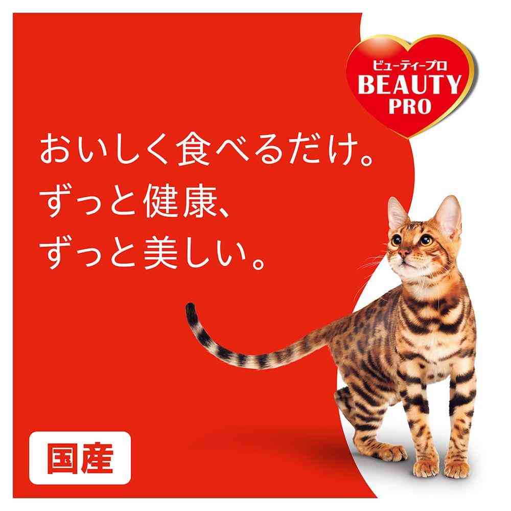 Nihon Pet Food Beauty Pro Cat W Care Intestinal Environment & Natural Immunity Care 1.2kg (240g x 5)