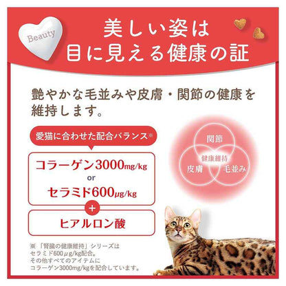 Nihon Pet Food Beauty Pro Cat W Care Intestinal Environment & Natural Immunity Care 1.2kg (240g x 5)
