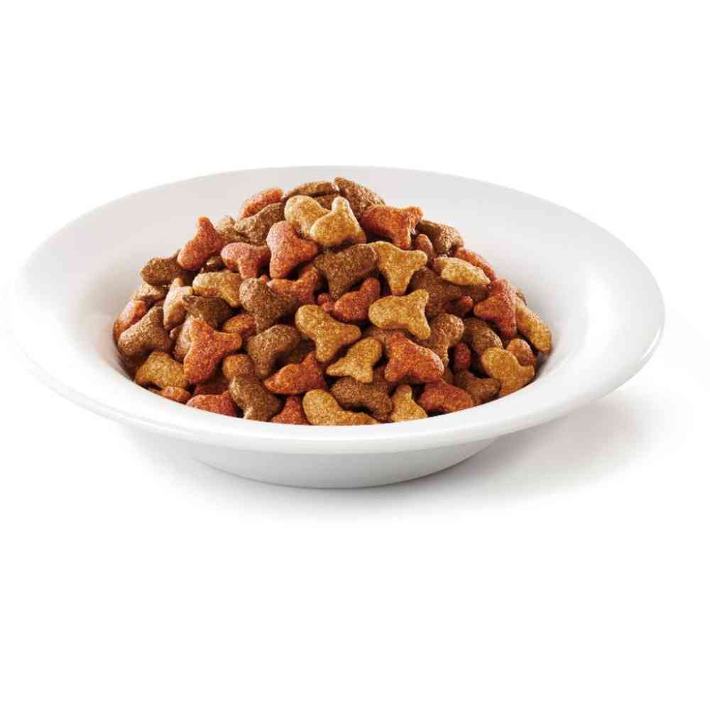 Mon Petit Dry Bag 5 Fish Blend 600g
