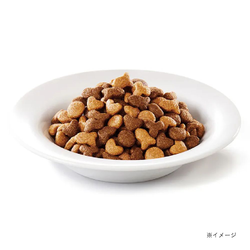 Mon Petit Bag Kitten Blend of 5 Types 600g
