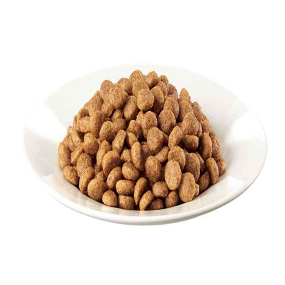 Mars Japan Limited Caesar Dry Adult Dog Food Chicken with 4 Types of Farm Vegetables Small Kibble 1.5kg