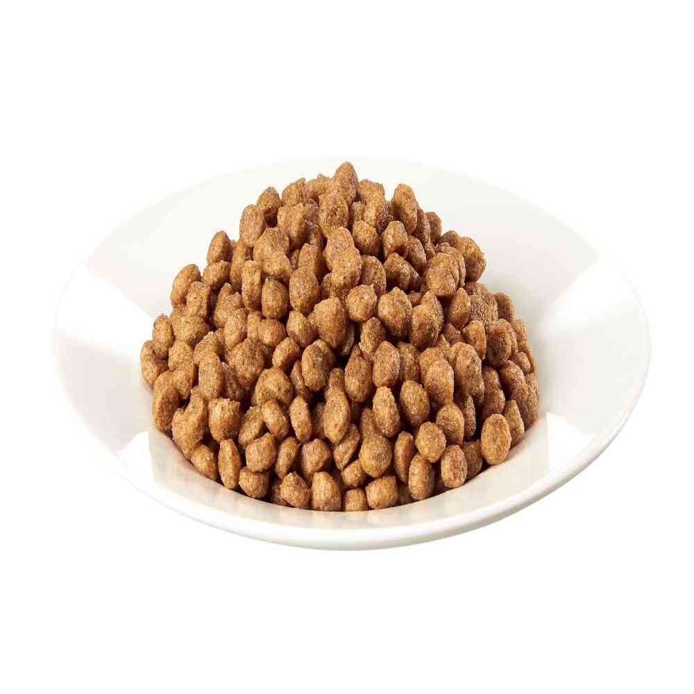 Mars Japan Limited Caesar Dry Adult Dog Food with Chicken and 4 Types of Farm Vegetables Mini 1.5kg