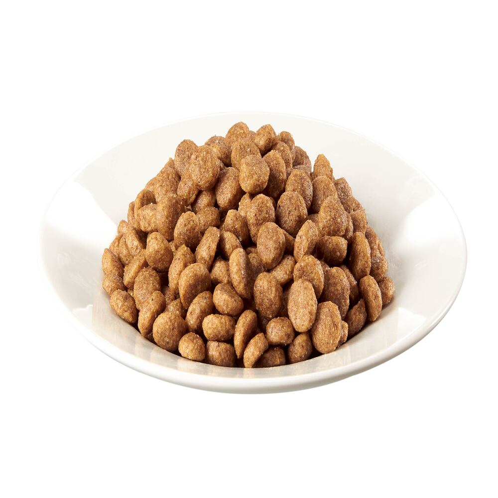 Mars Japan Limited Caesar Dry Adult Dog Food with Lamb and 4 Types of Farm Vegetables 1.5kg