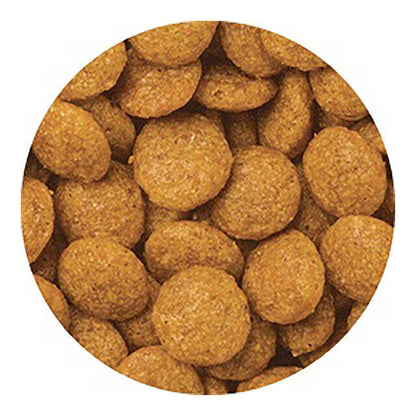 Medifas Advance Urinary Stone Care Neutered/Spayed 200g