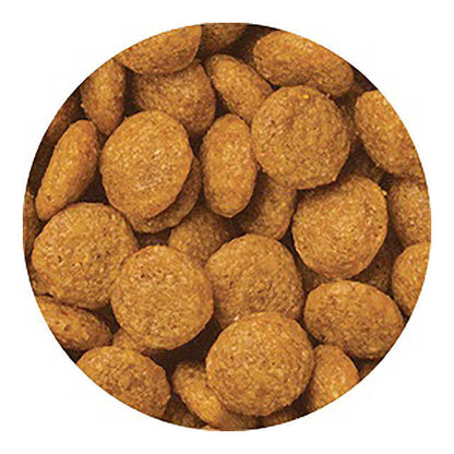Medifas Advance Urinary Stone Care Fish 200g