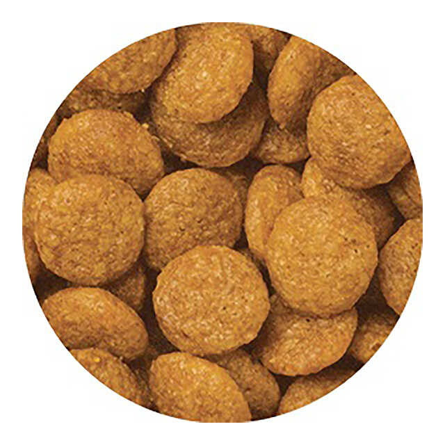 Medifas Advance Food Allergen Care for Cats 1 Year 200g
