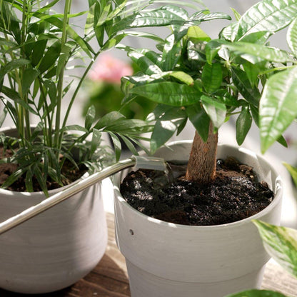 Fumakilla Kadan Impressive Fertilizer Liquid Bio Power 500ml